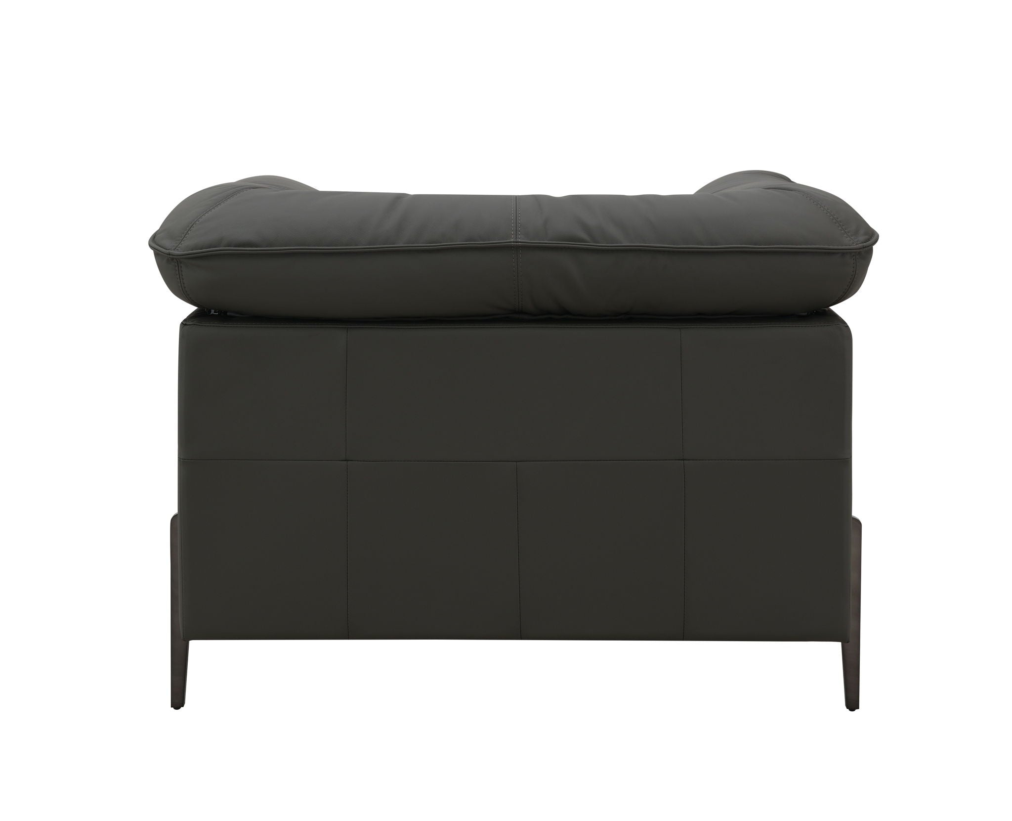 Tadi Top-Grain Leather Accent Chair