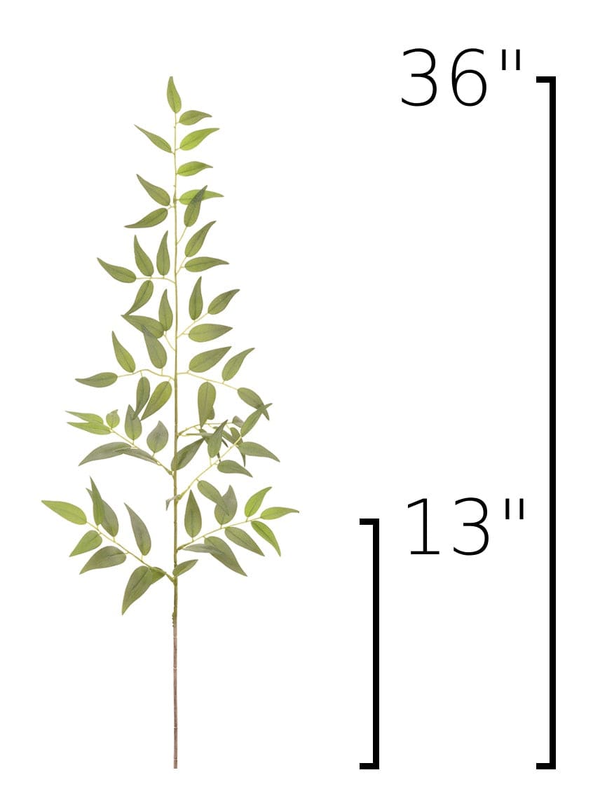 36" Faux Italian Ruscus Stem