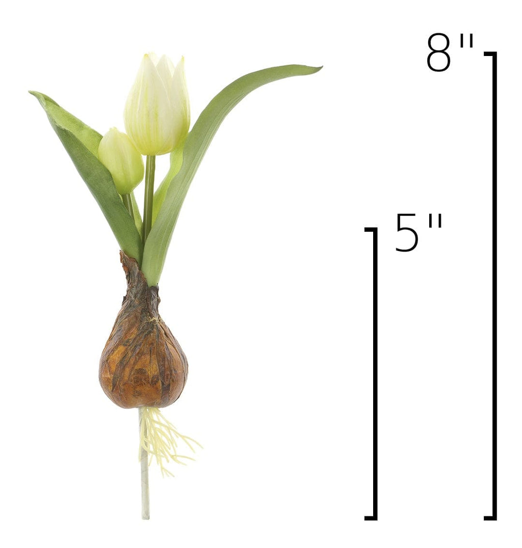 8" Faux Real Touch White Tulips in Bulb w/pick