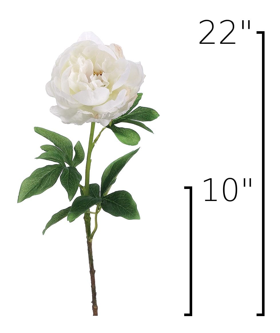 22" Faux White Peony Stem