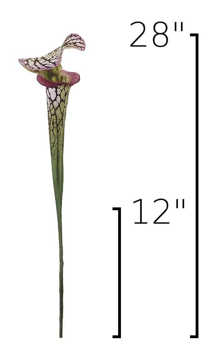 28" Faux Green/Burgundy Pitcher Plant Stem