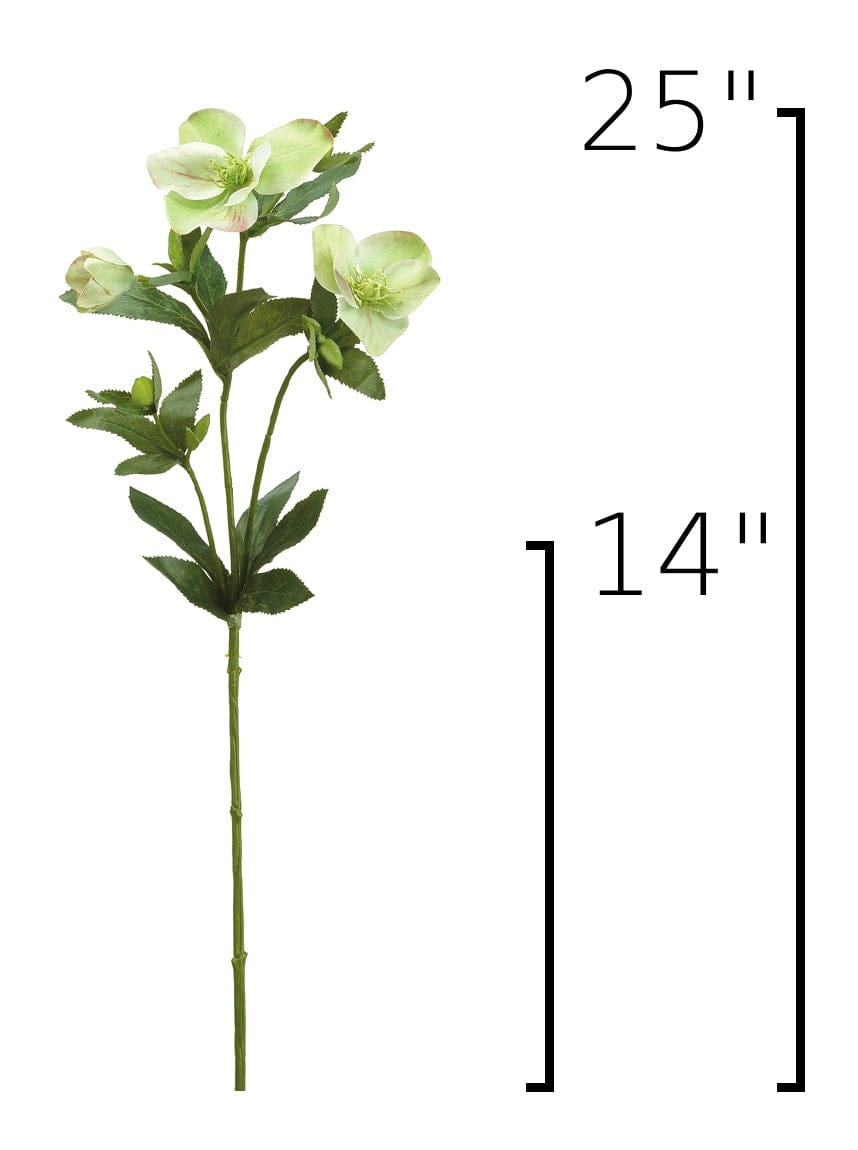 25" Faux Helleborus Stem Green