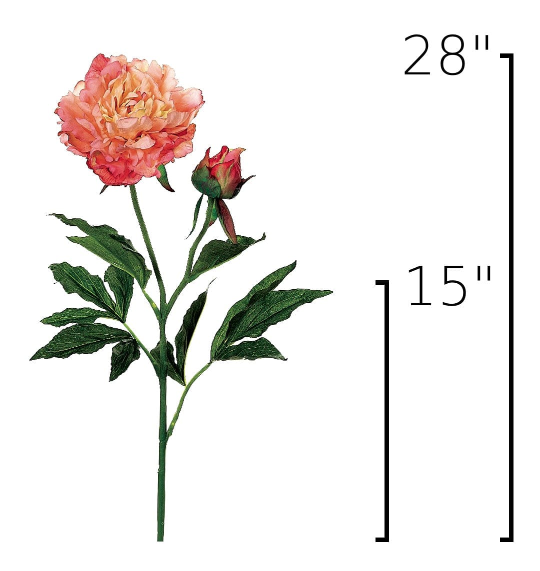 28" Faux Peach Peony Stem