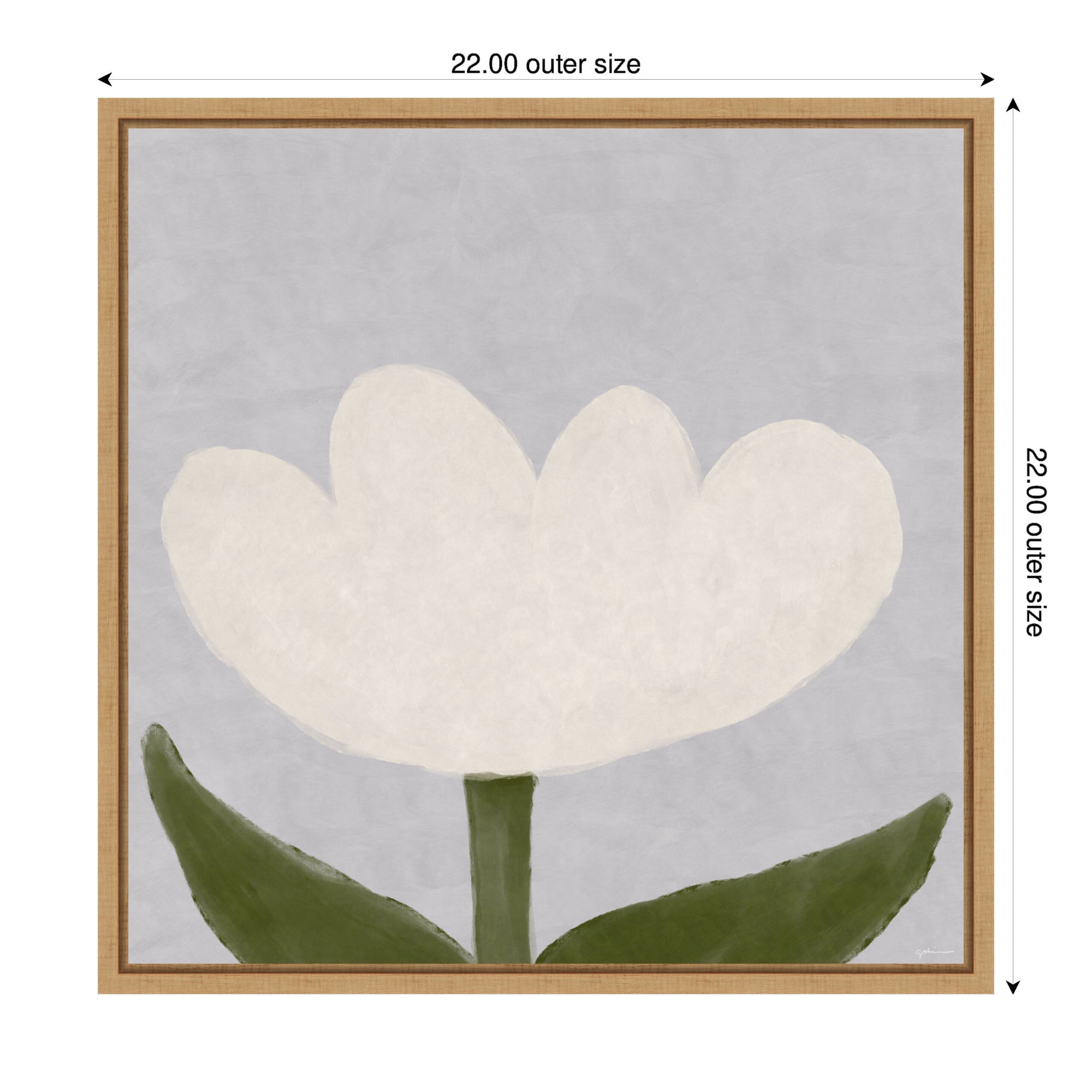 White Tulip by Gabrielly Guedes Framed Canvas Wall Art Print