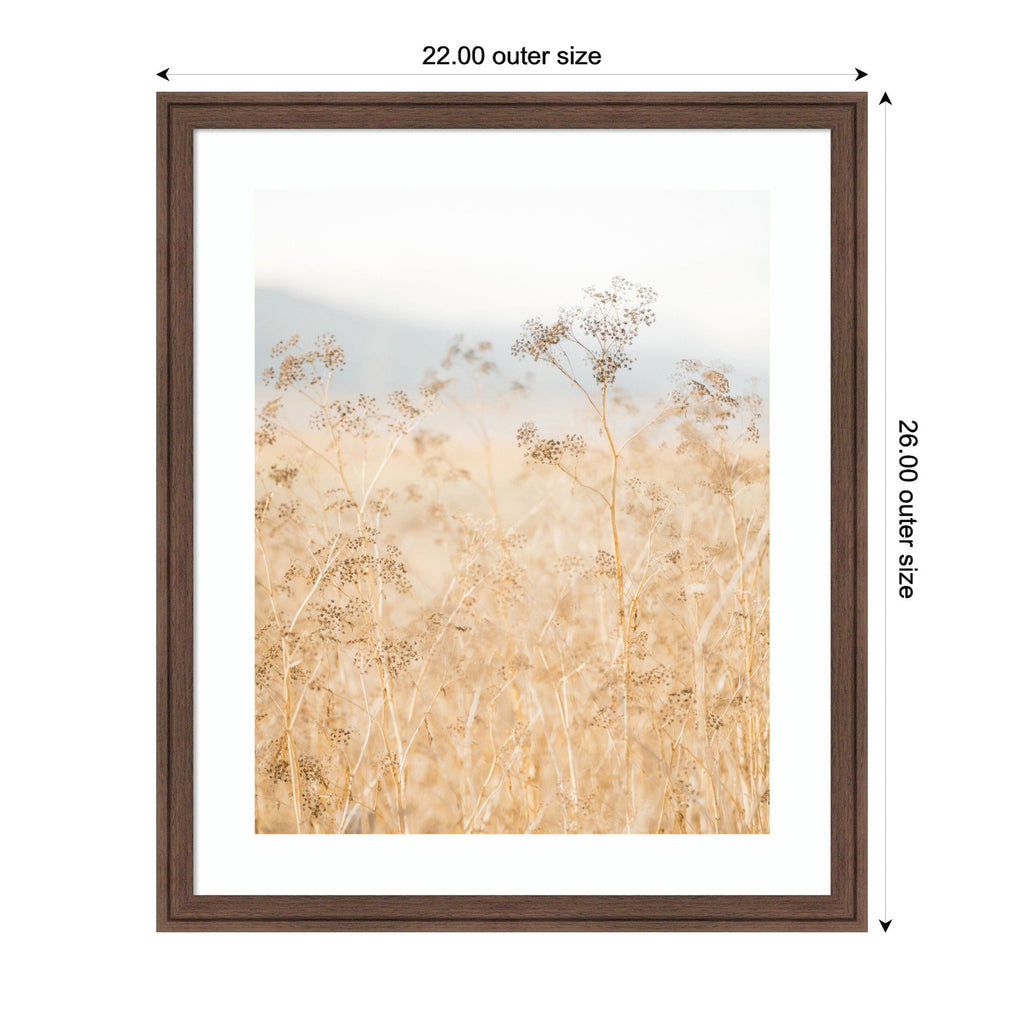 Framed Art Wild Fennel by Crystal Lynn Collins