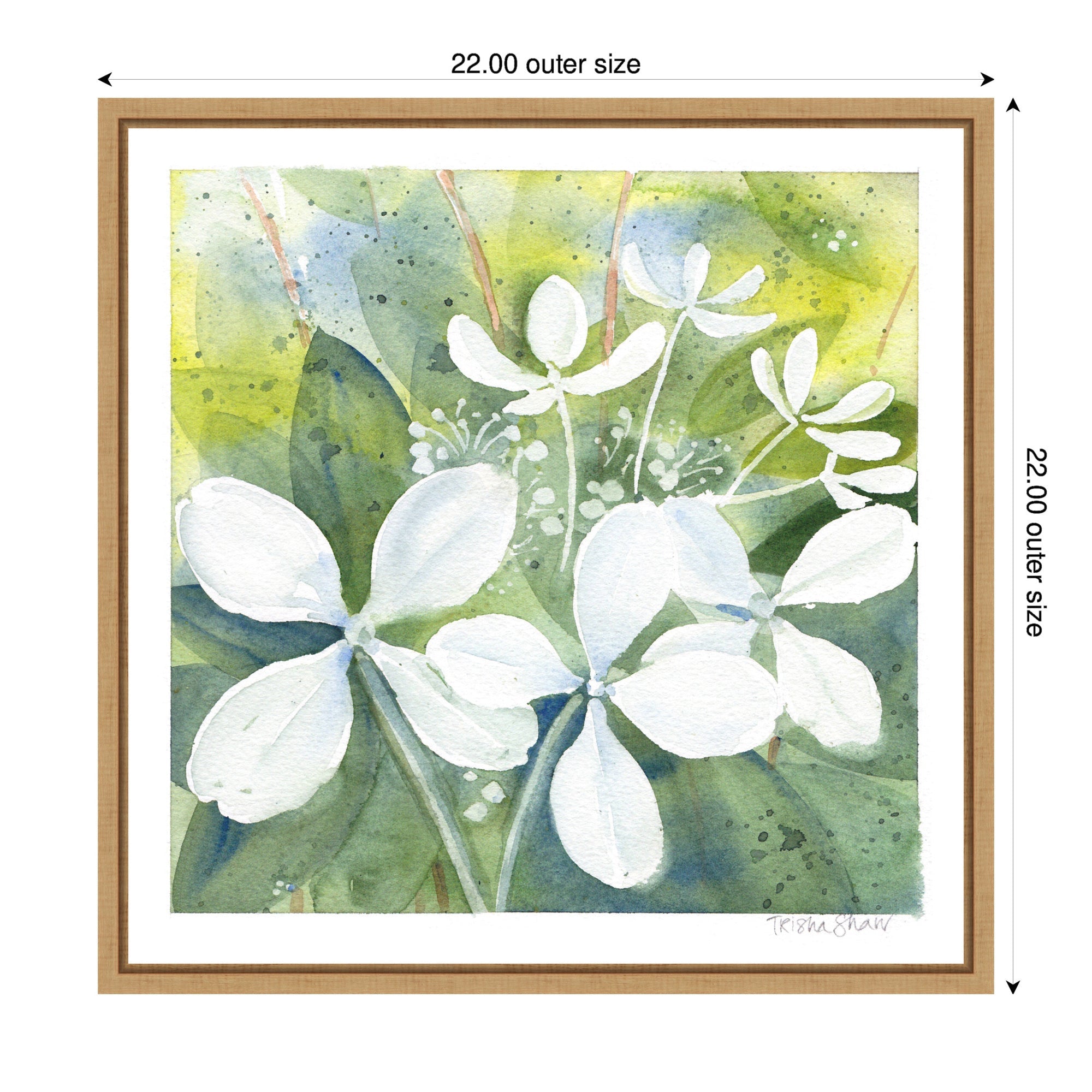 Sylvie White Phantom Hydrangea in Greens Framed Canvas by Patricia Shaw