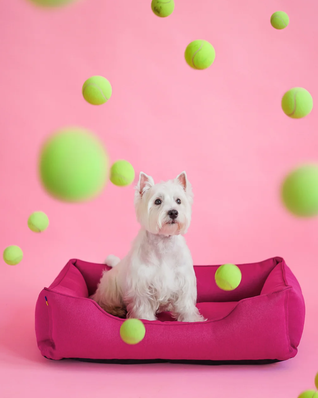 Chester & Lee Cotton Sleeper Dog Bed — Berry Pink