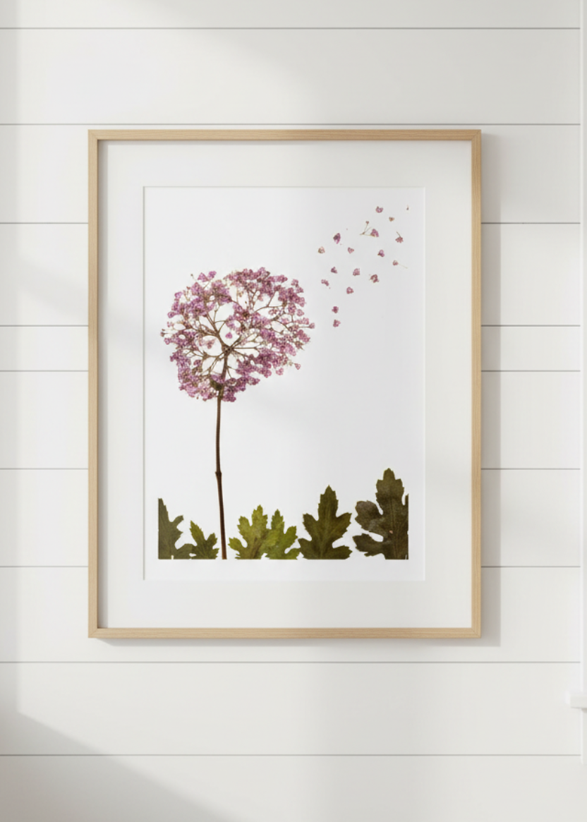 Dandelion Prints