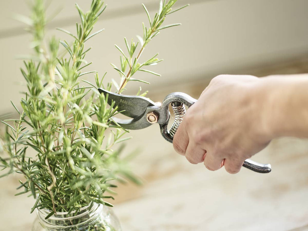 Pruning Shears