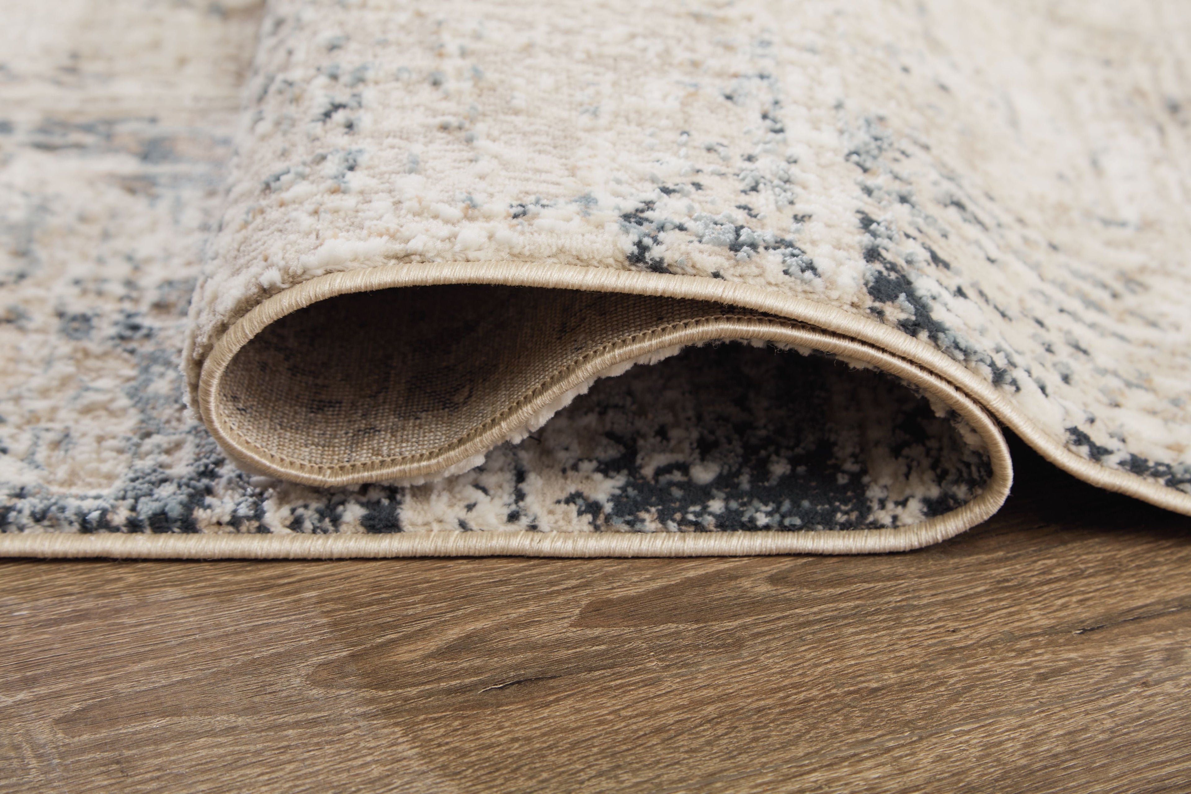 Gentor Area Rug
