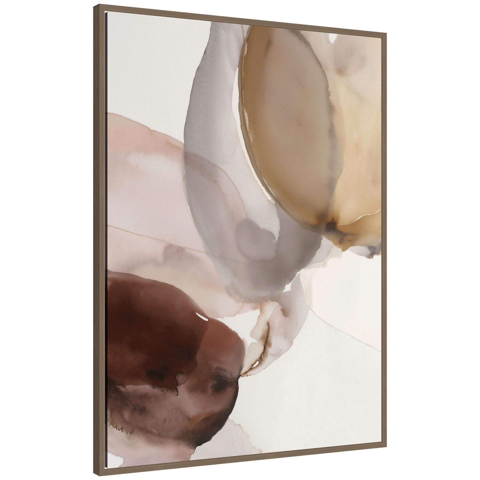 Earth Bloom II by Amy Lighthall Framed Canvas Wall Art Print