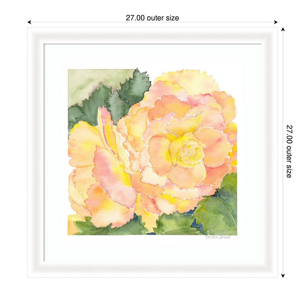 Framed Art Orange Pink Abstract Begonia by Patricia Shaw