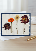 Field Study No. 2 Greeting Card