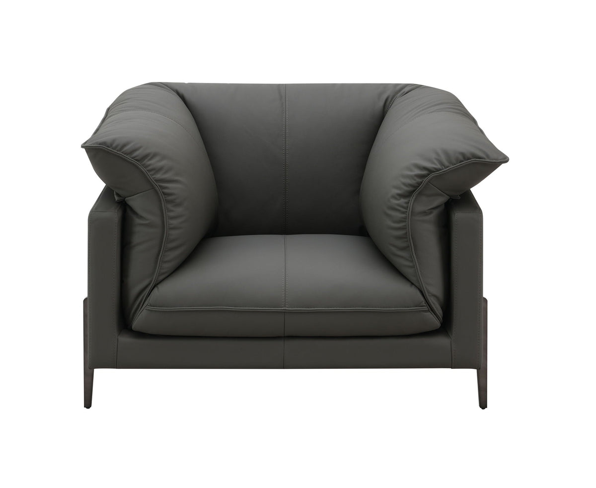 Tadi Top-Grain Leather Accent Chair