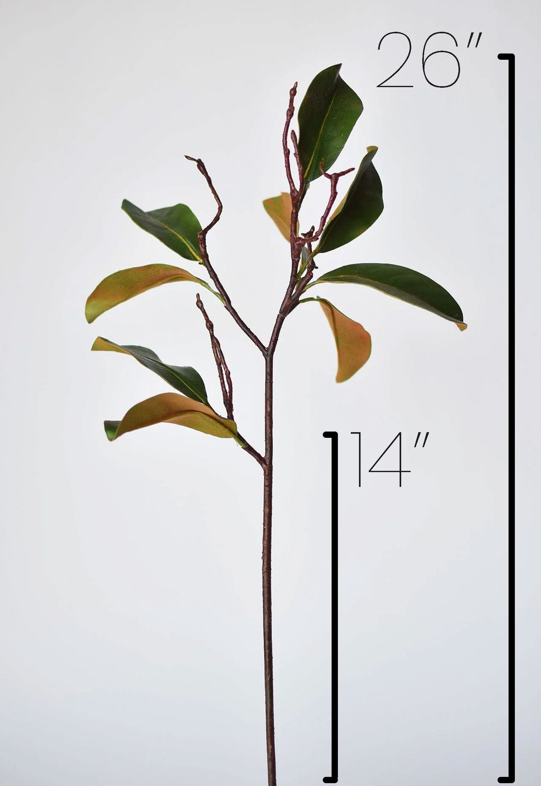 26" Faux Magnolia Leaf Branch Stem