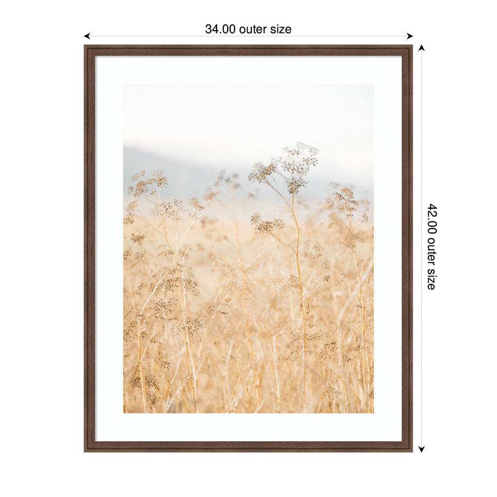 Framed Art Wild Fennel by Crystal Lynn Collins