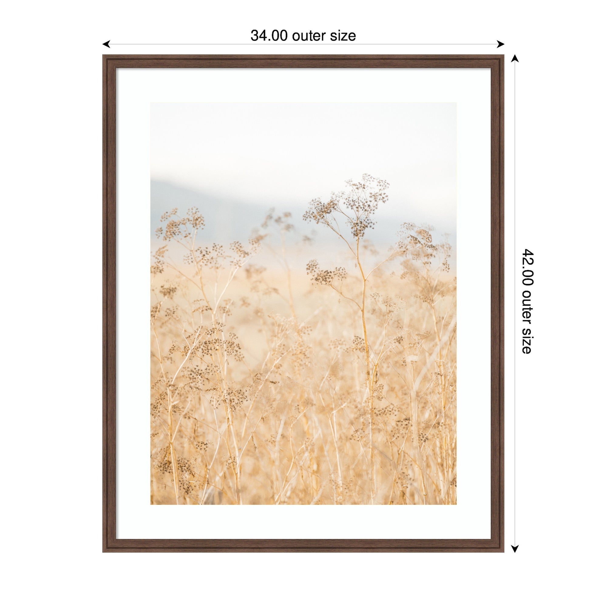 Framed Art Wild Fennel by Crystal Lynn Collins