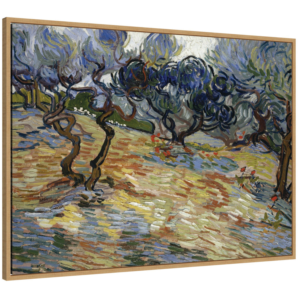 Olive Trees by Vincent van Gogh by Nostalgia Prints Framed Canvas Wall Art Print