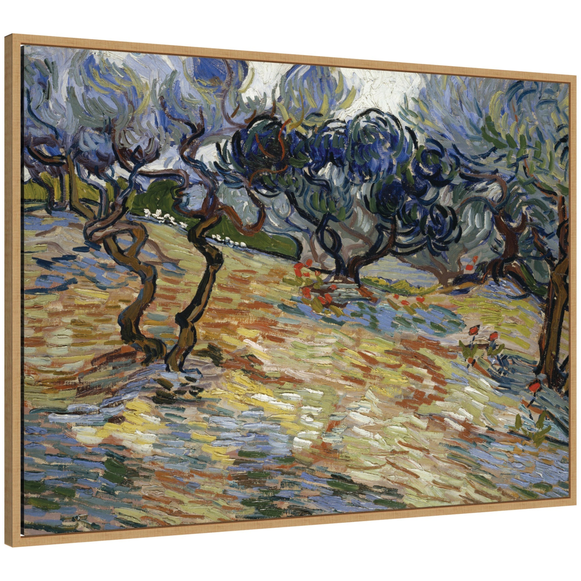 Olive Trees by Vincent van Gogh by Nostalgia Prints Framed Canvas Wall Art Print