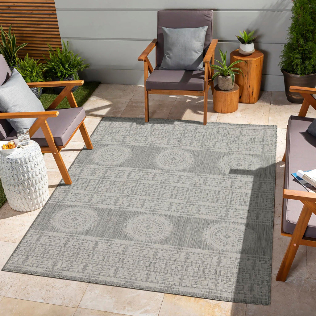 Sunshine 5'3" x 7'3" Indoor/Outdoor Area Rug - Silver