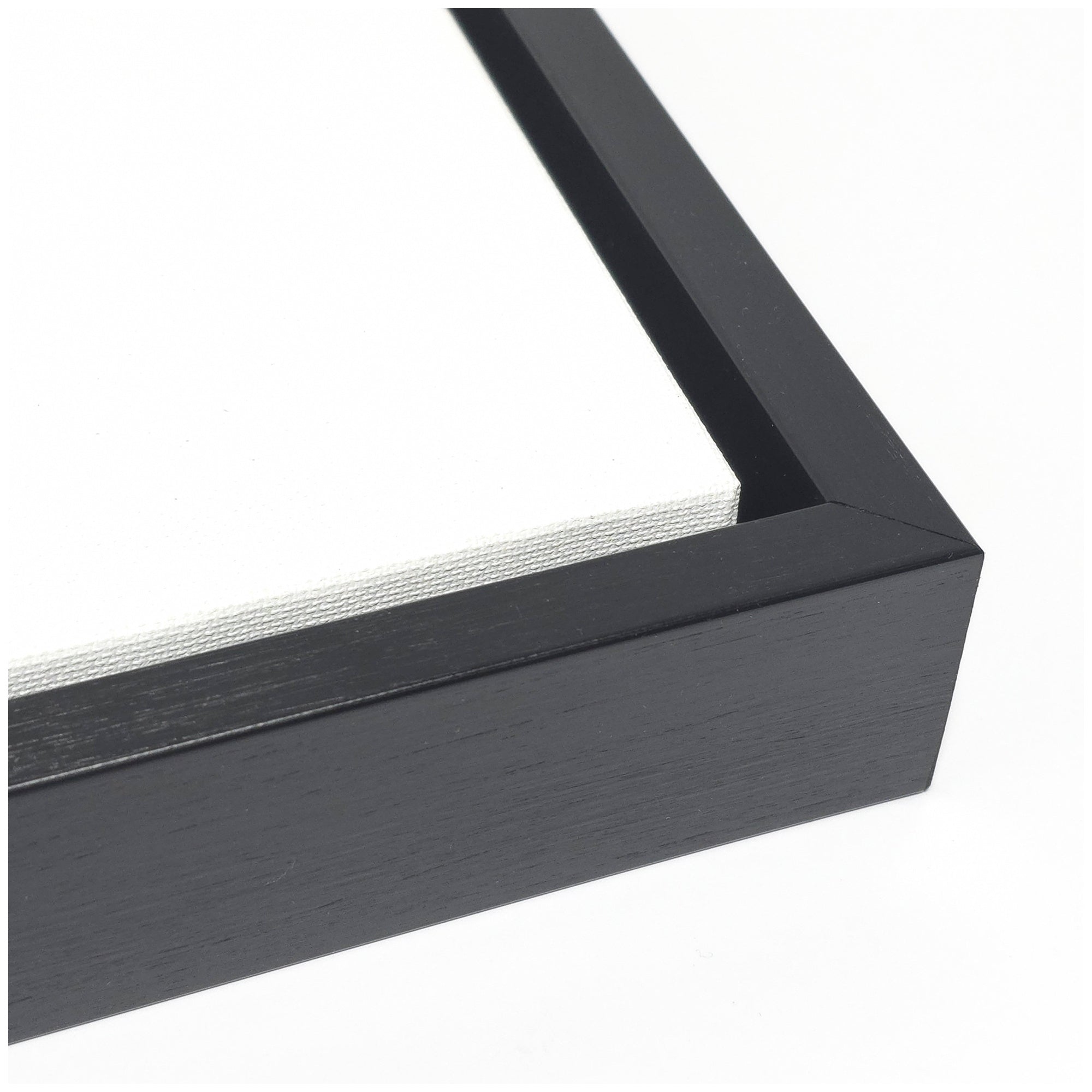 Sylvie Black Twist 1 Framed Canvas by Alicia Bock