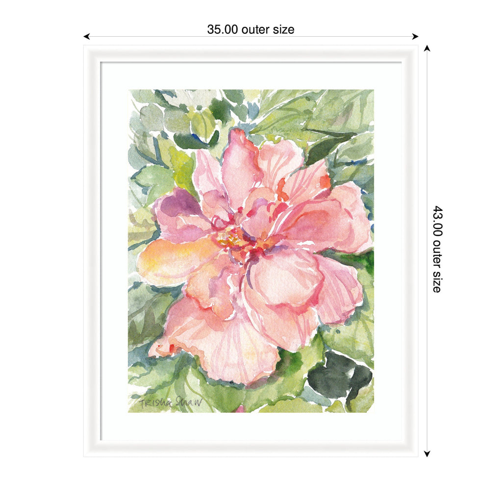 Framed Art Pink Hibiscus In Antigua by Patricia Shaw
