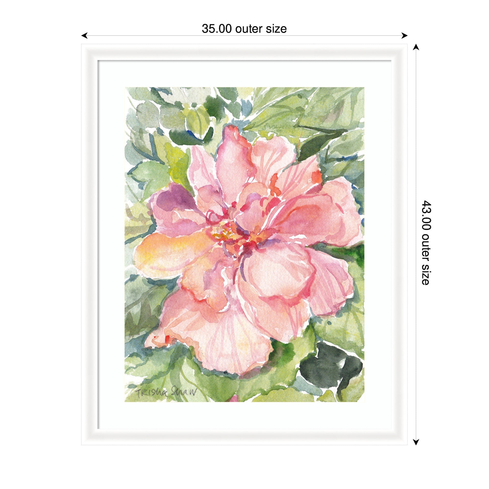 Framed Art Pink Hibiscus In Antigua by Patricia Shaw