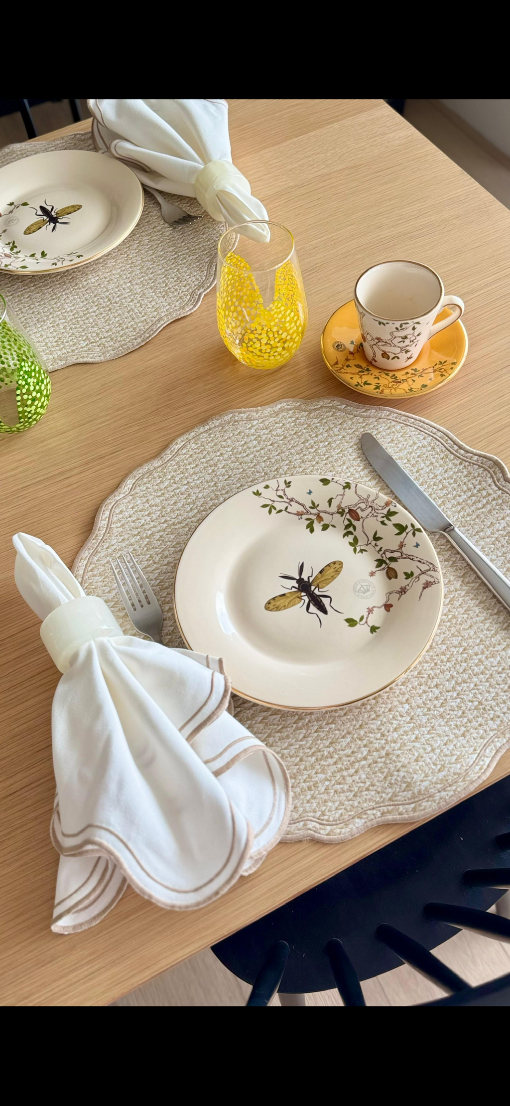Beige Maison Placemats (Set of 2) - Double Face