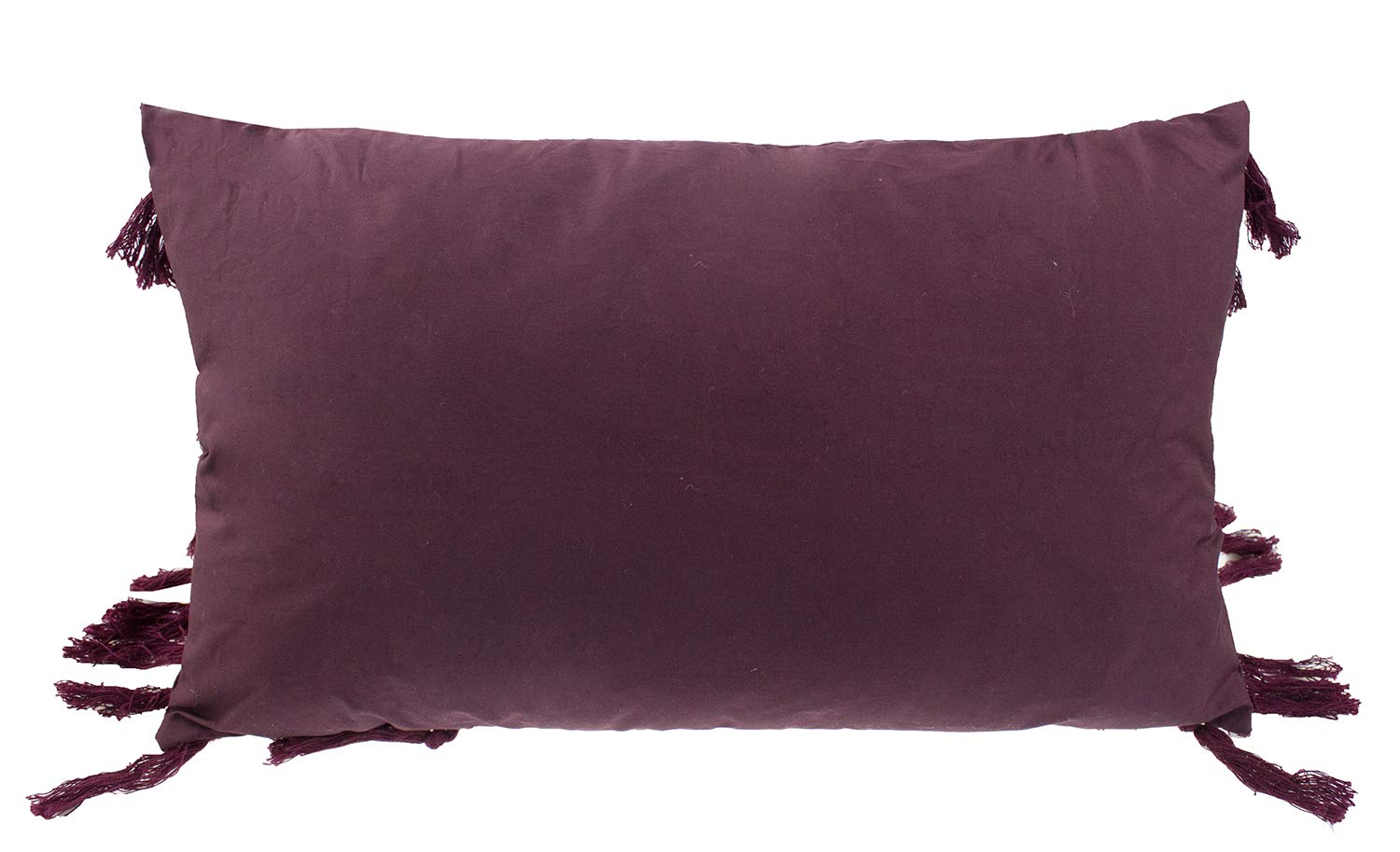 Fennco Styles Stylish Fringe Tassels Decorative Cotton Throw Pillow
