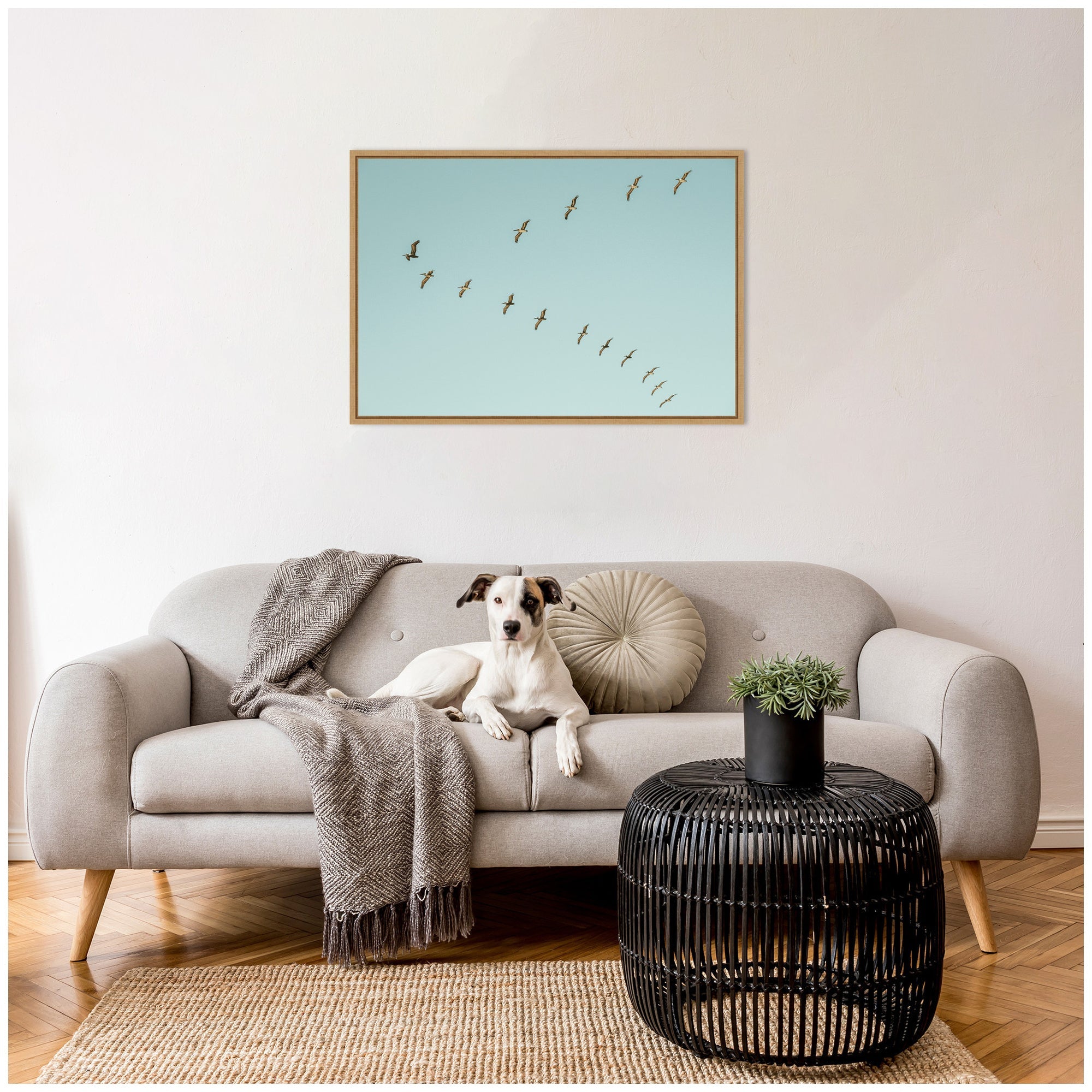 Sylvie Pelican Row #1 Framed Canvas by Alicia Bock