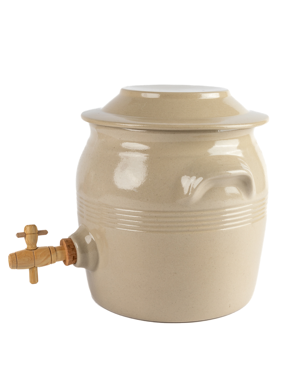 Vintage Vinegar Berry Jar
