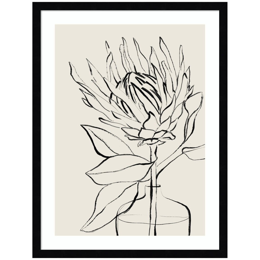 SB Protea Sketch No. 1 by Sara Berrenson Framed Wall Art Print