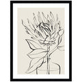 SB Protea Sketch No. 1 by Sara Berrenson Framed Wall Art Print