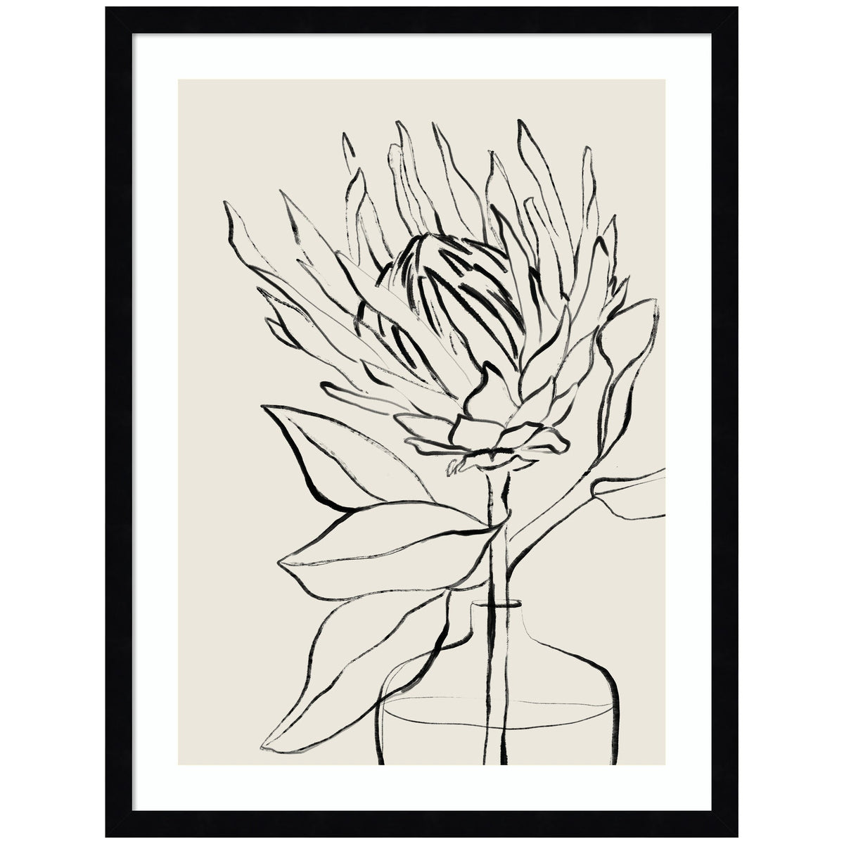 SB Protea Sketch No. 1 by Sara Berrenson Framed Wall Art Print