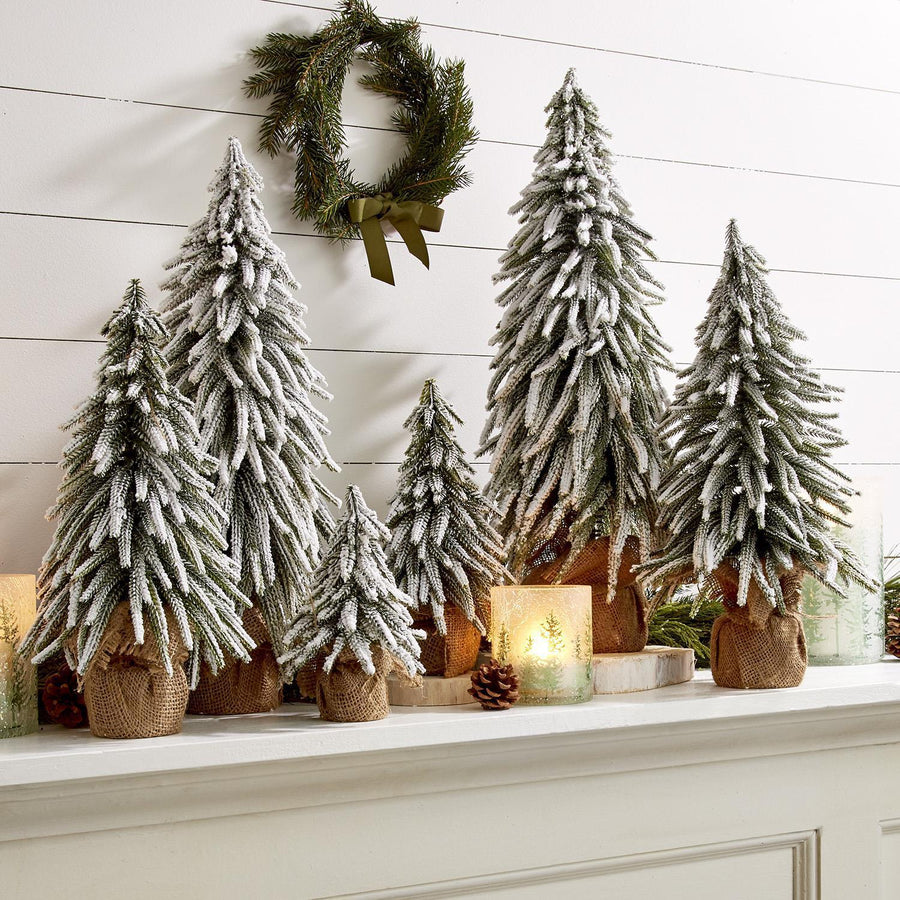 Snow-Covered Tree Collection