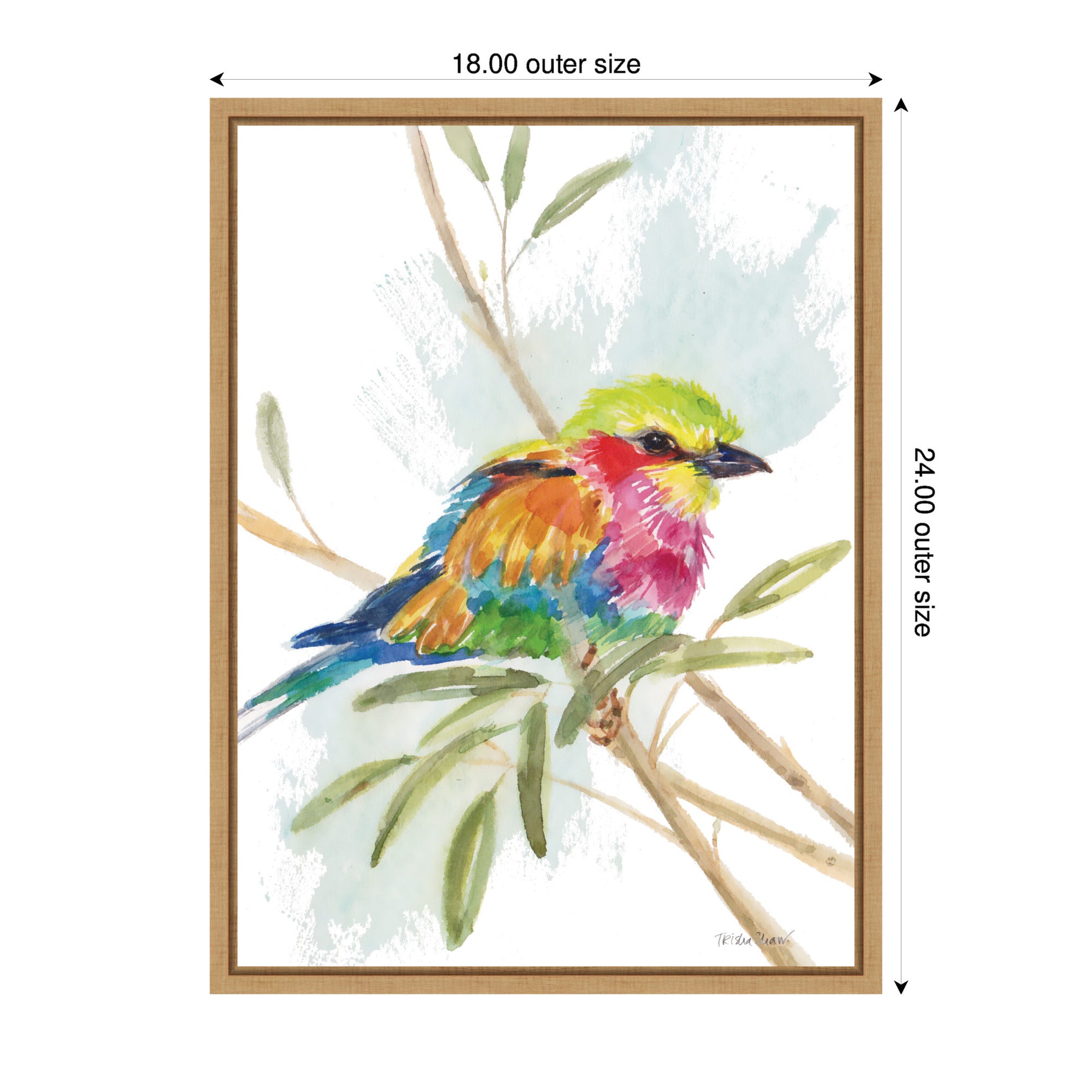 Bright Bird Framed Canvas Art