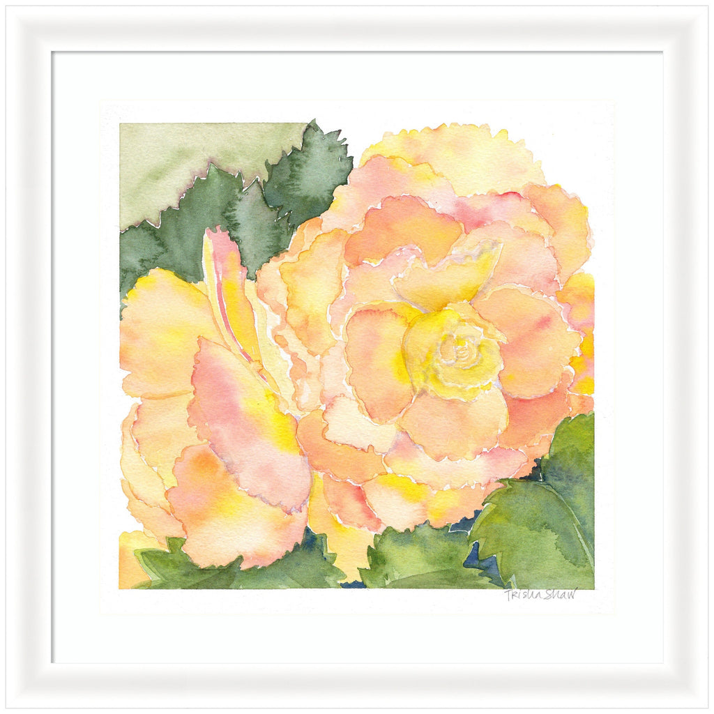 Framed Art Orange Pink Abstract Begonia by Patricia Shaw