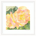 Framed Art Orange Pink Abstract Begonia by Patricia Shaw