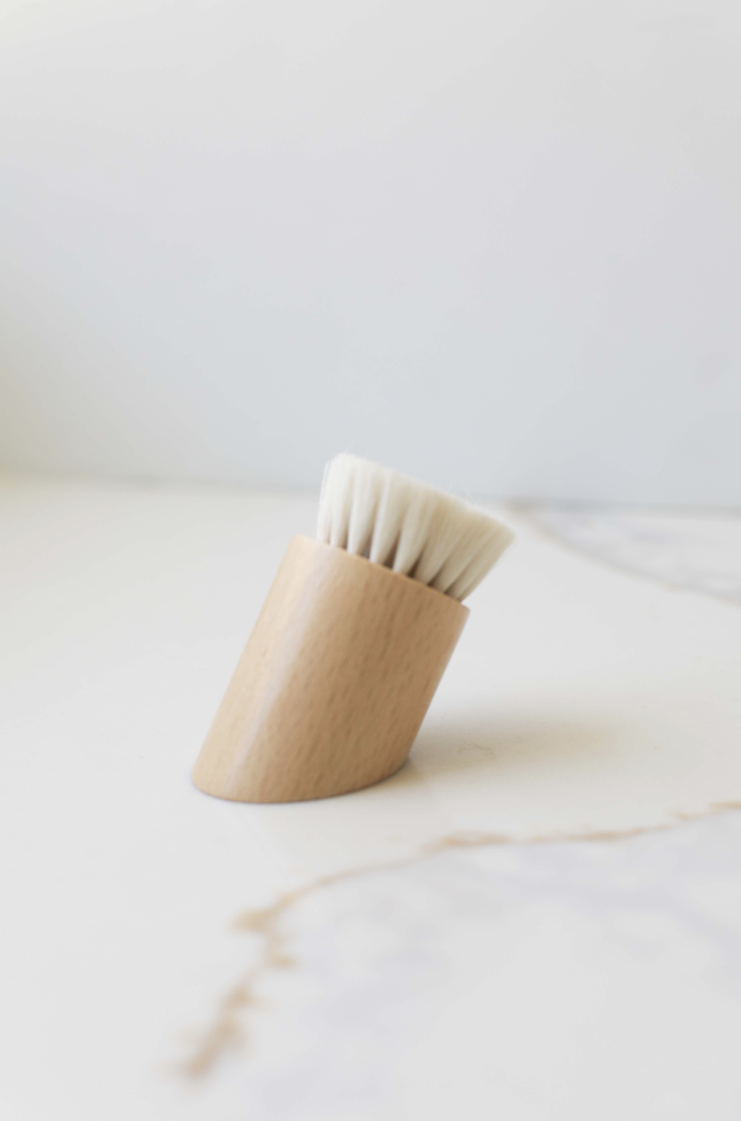Face Brush