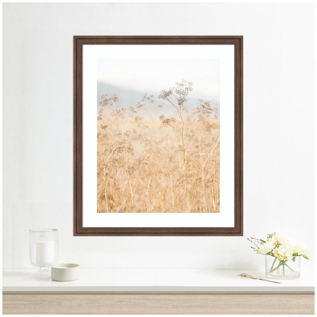 Framed Art Wild Fennel by Crystal Lynn Collins
