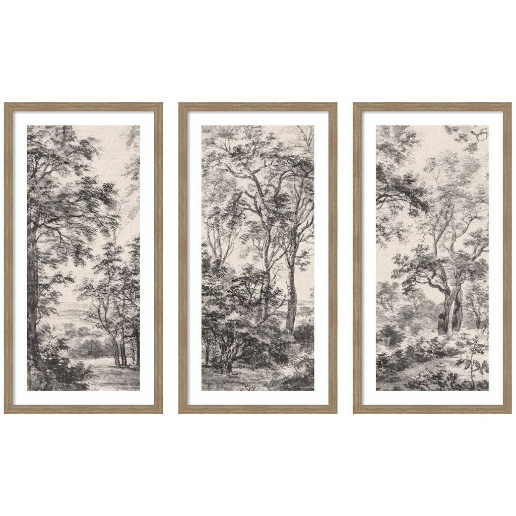 Wooded Landscape — 3-Piece Framed Art Set