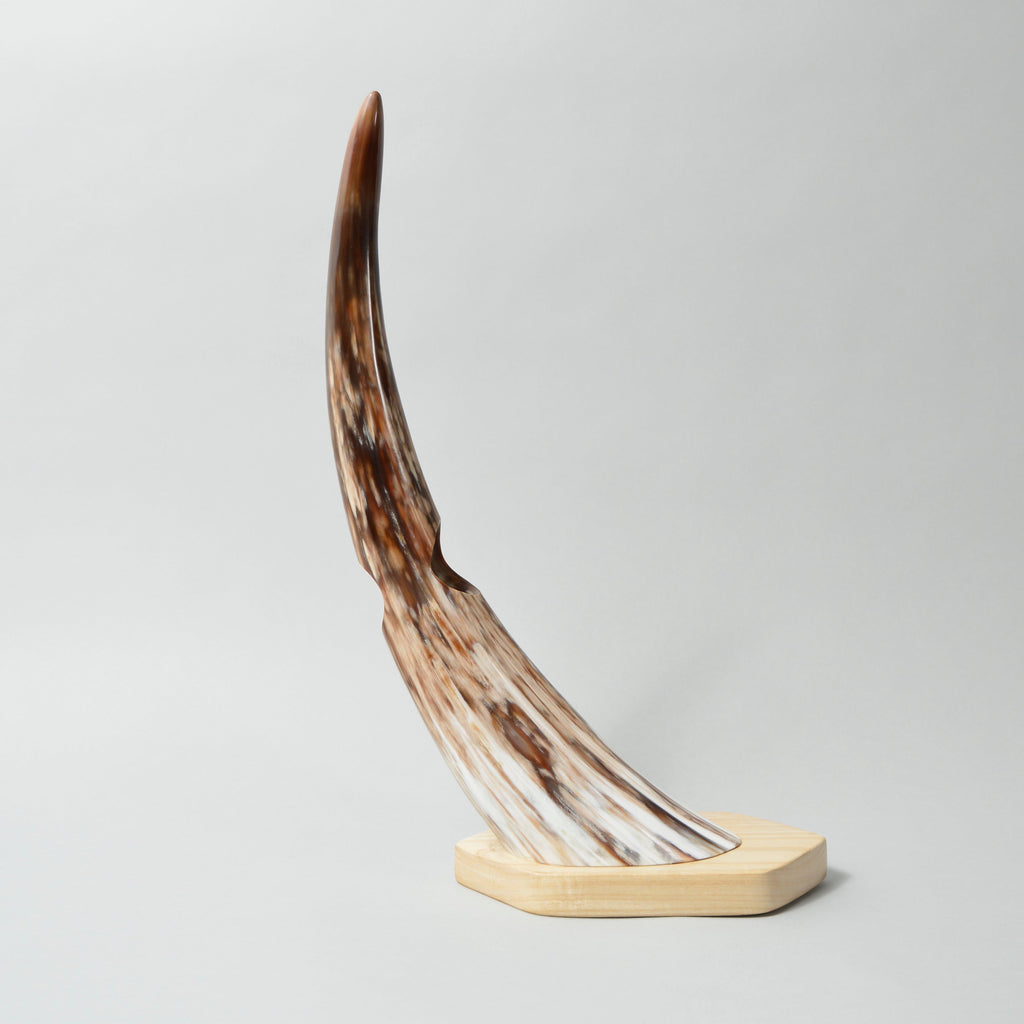 Balanced Horn Wine Holder