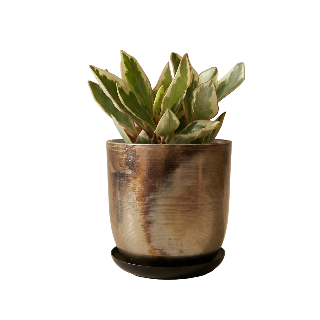 Jo Artisan Patina Brushed Metal Planter