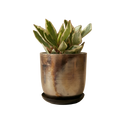 Jo Artisan Patina Brushed Metal Planter