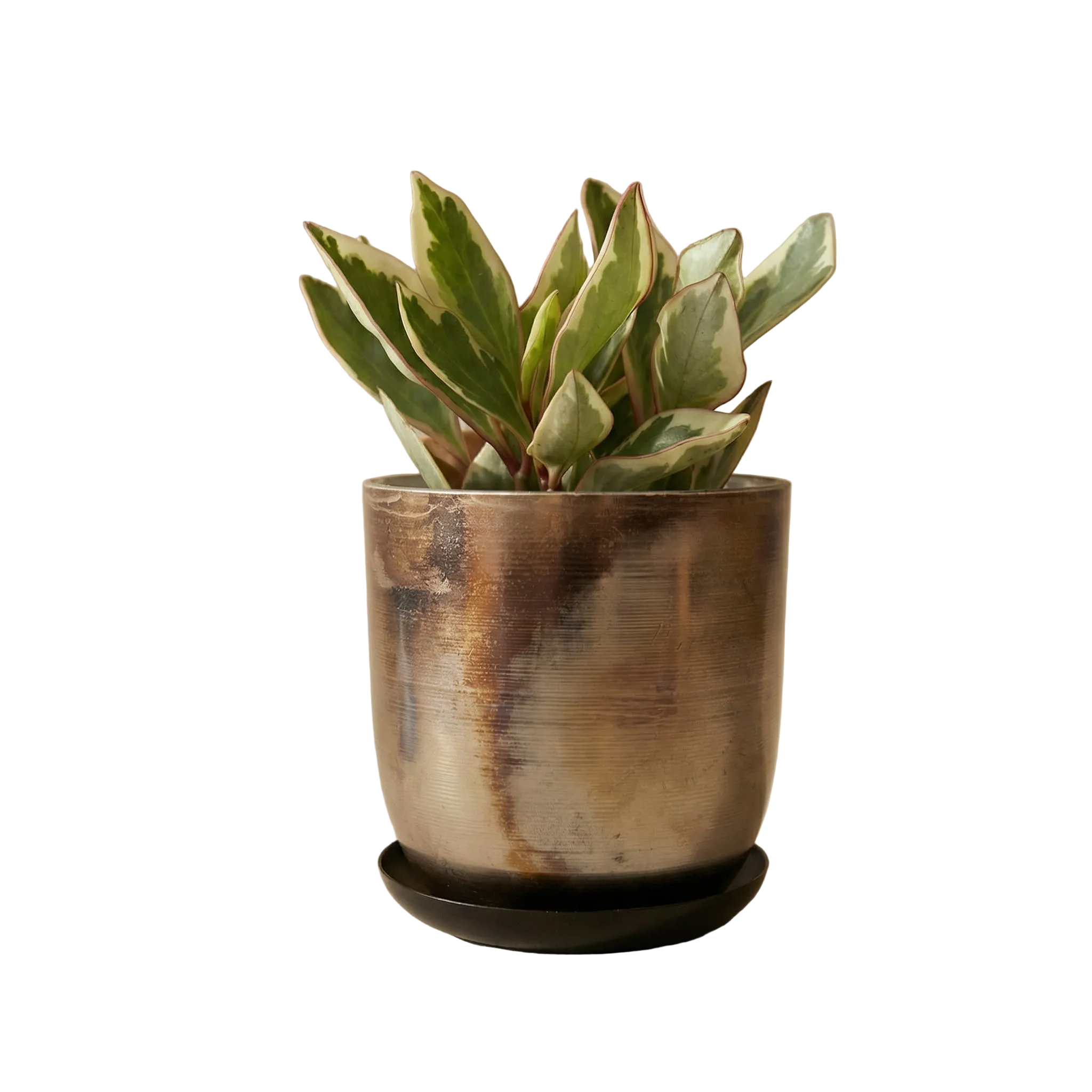 Jo Artisan Patina Brushed Metal Planter