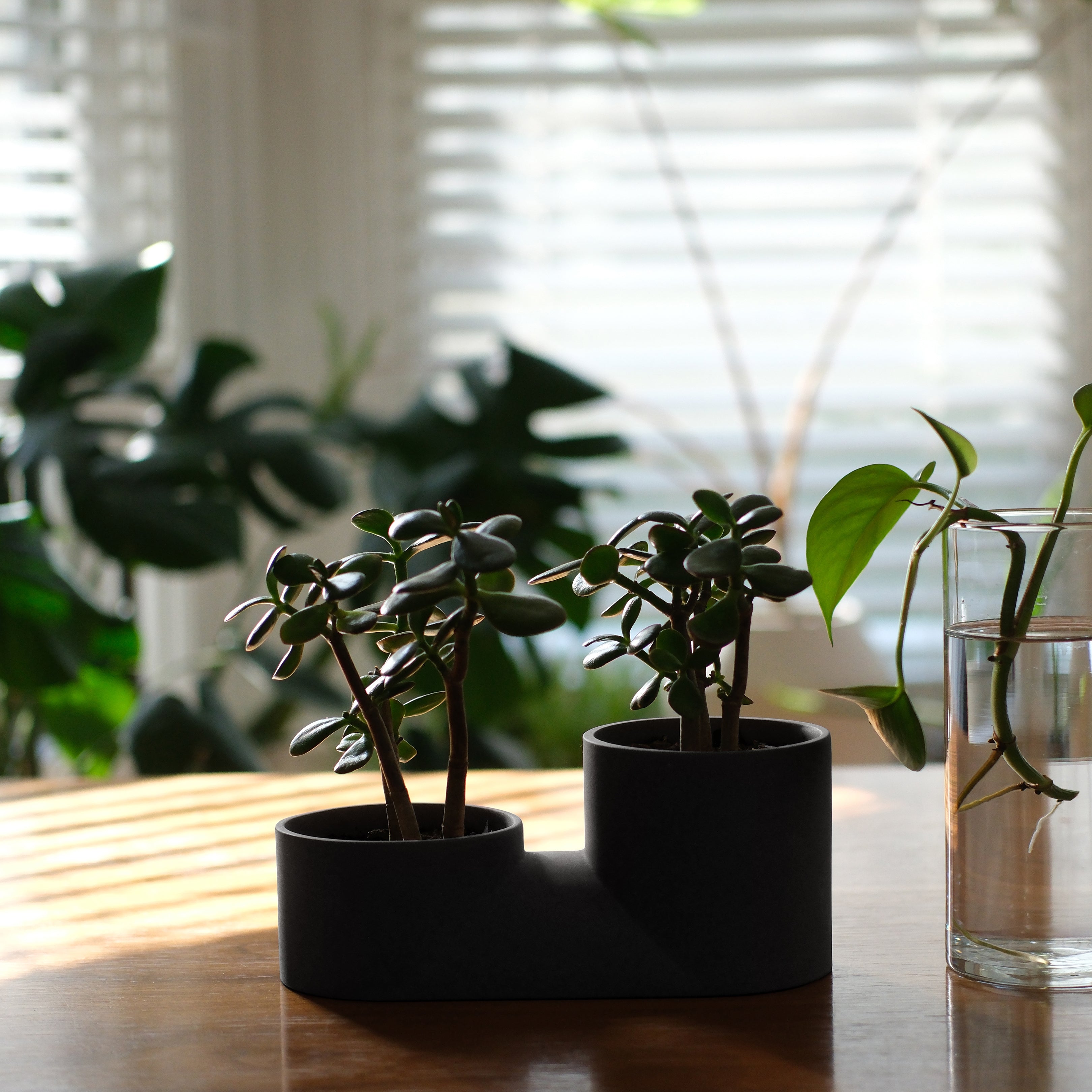 Double Planter