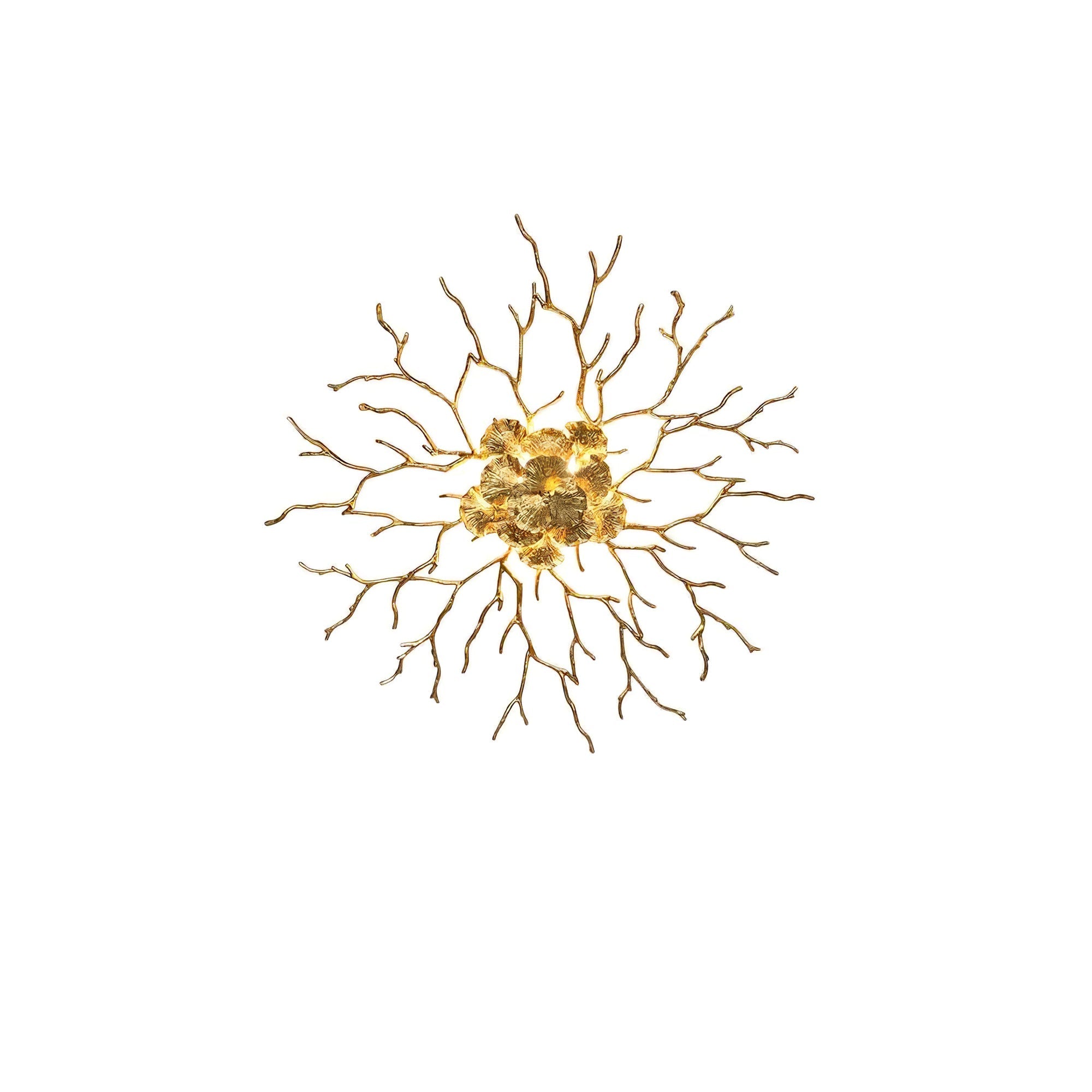 Coral Zoa Sculptural Wall Light