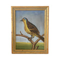 Dana Gibson Yellow Sparrow II - Vintage Frame