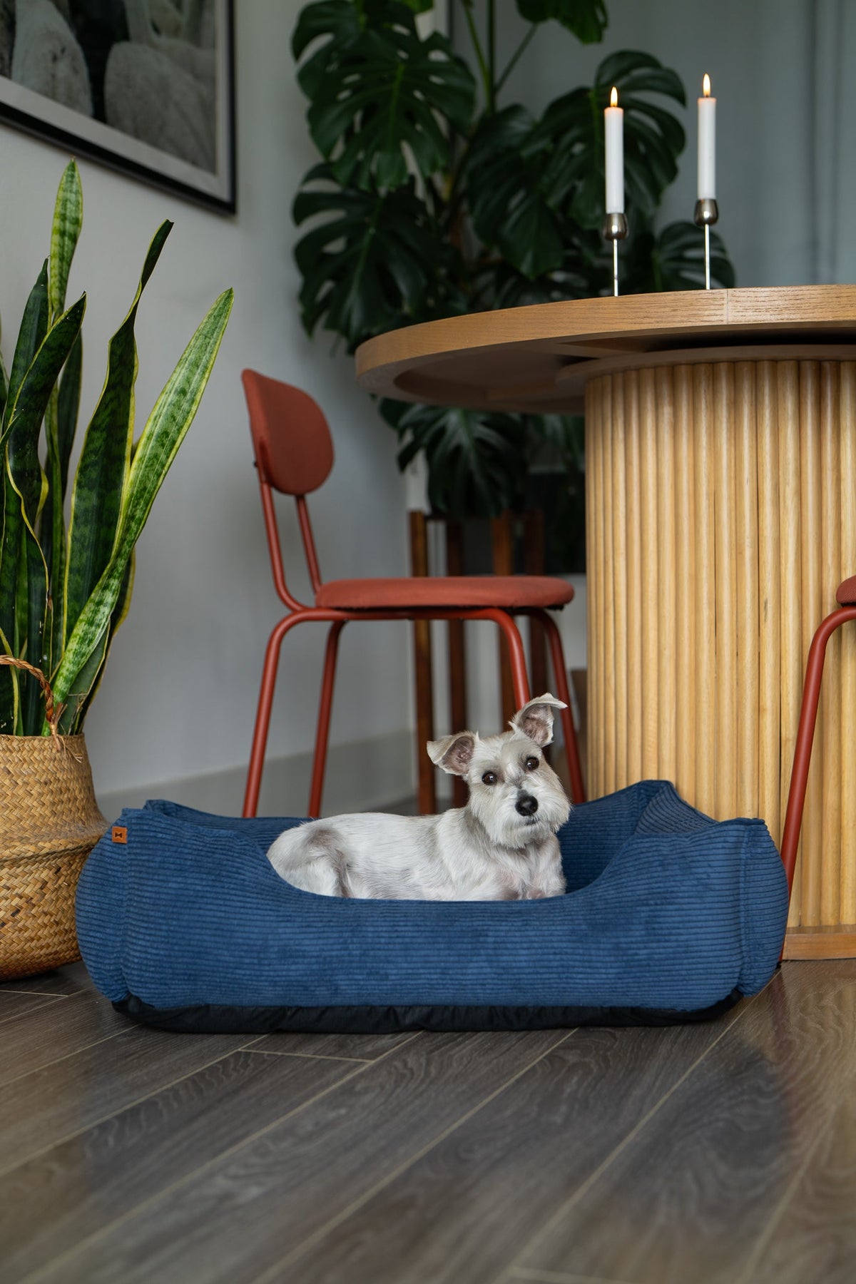Chester & Lee Corduroy Sleeper Dog Bed — Blue