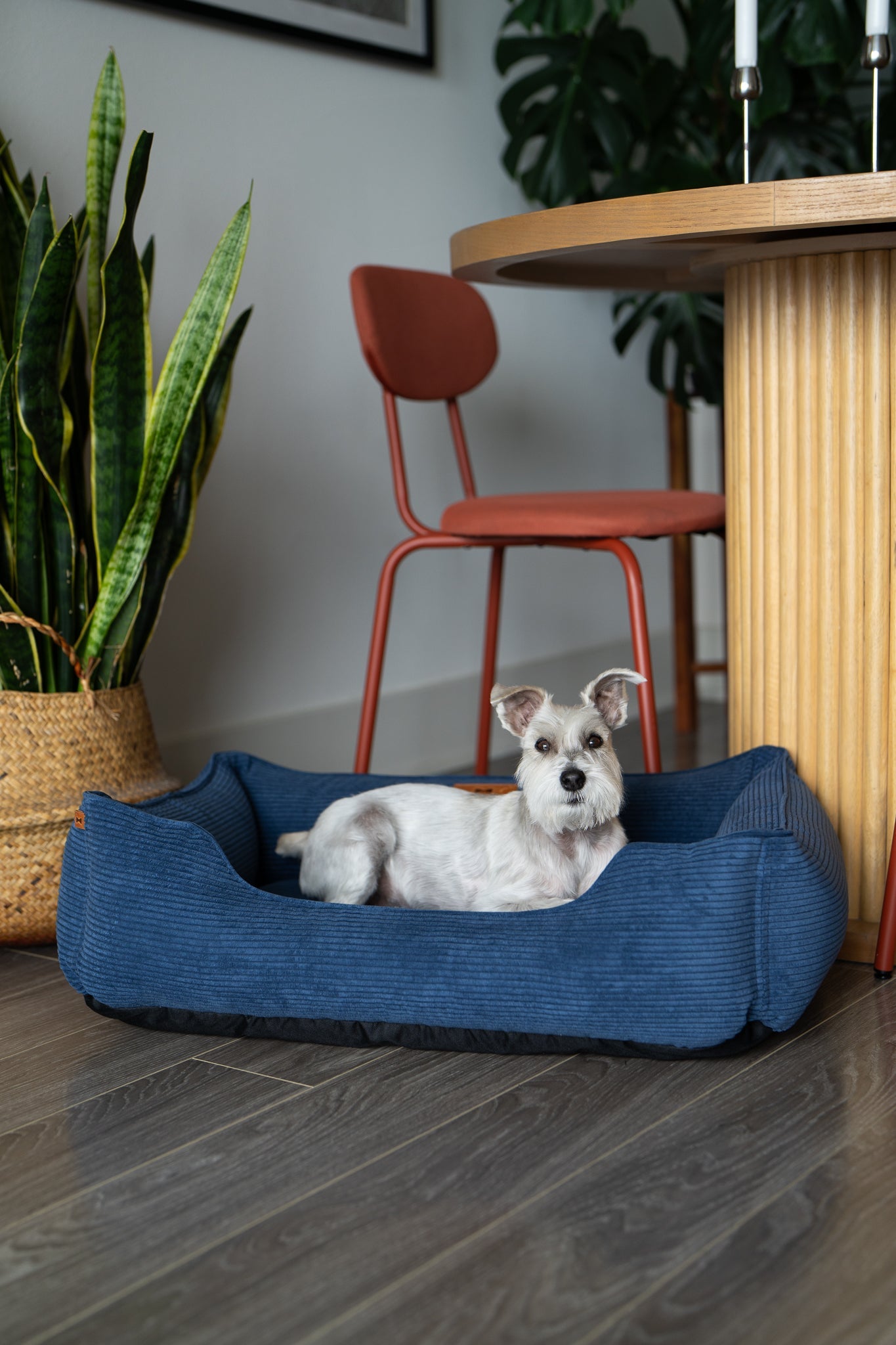Chester & Lee Corduroy Sleeper Dog Bed — Blue